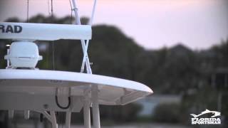 Cobia 344CC