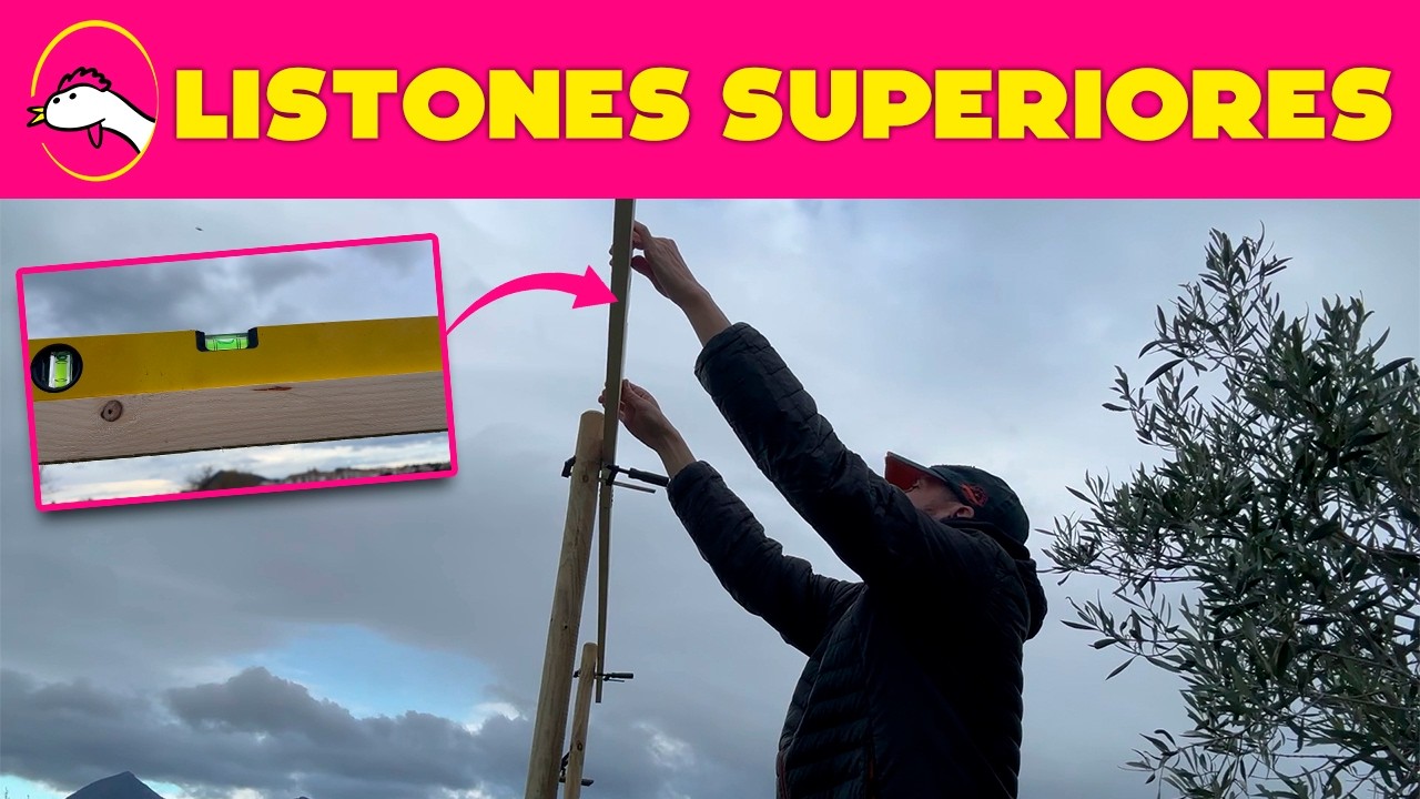 Poniendo listones superiores con NIVEL (Episodio 8) | La Granja de Alicia 🐔🥚