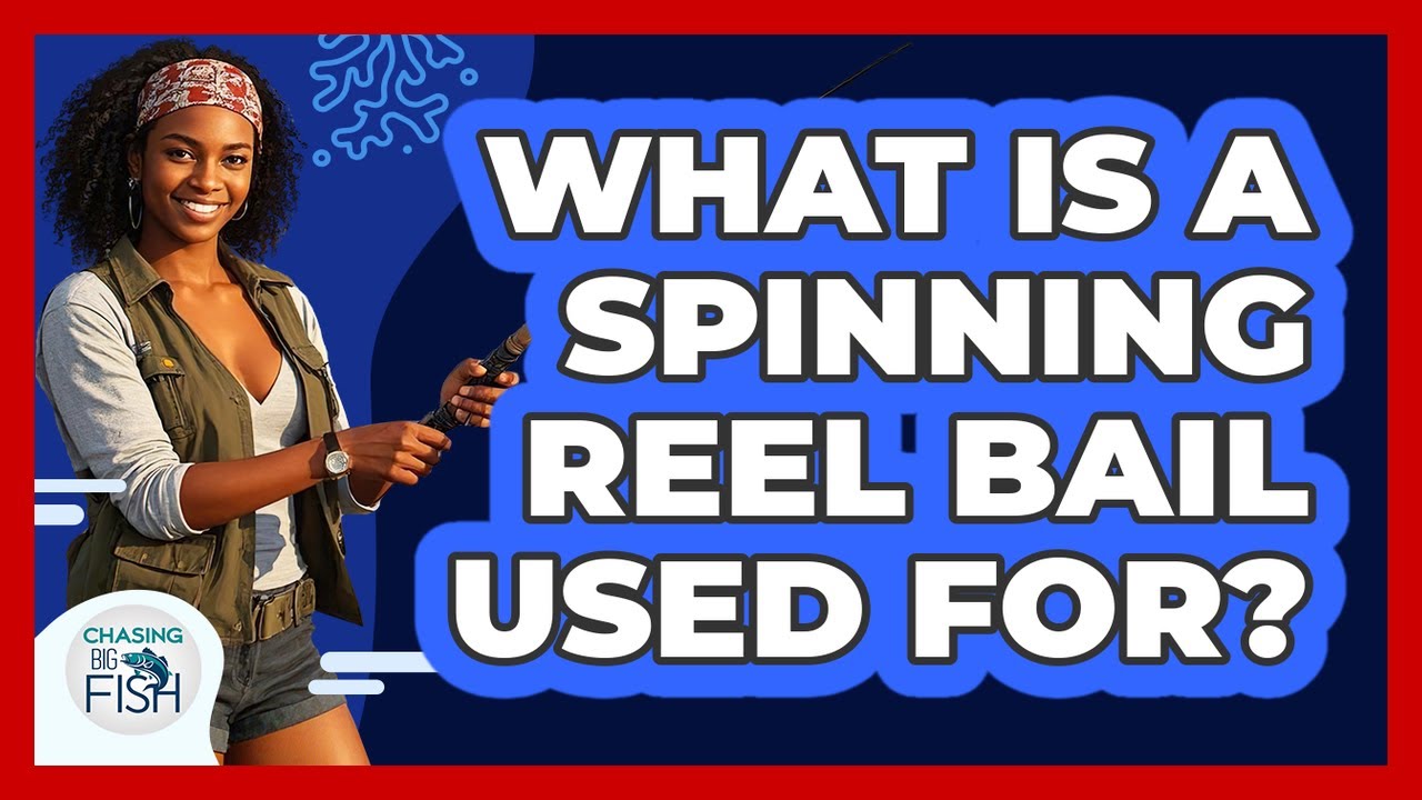 What Is A Spinning Reel Bail Used For?