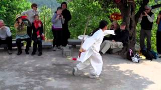 WuDang Sword Demo