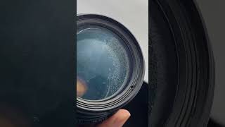 How Does A Lens Fungus Looks Like? Fungus On A Lens Gl Elements