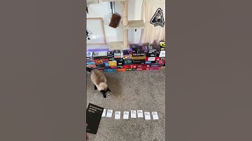 Cards Against Humanity