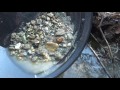 НАШЁЛ ЗОЛОТОНОСНЫЙ РУЧЕЙ!!! FOUND GOLD IN THE CREEK!!!