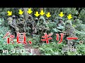サバゲーの参加者が全員ギリースーツだったら... ジェロニモのギリー限定戦に参加してきました【前編】
