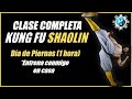 Clase Completa de Kung fu Shaolin Día de Piernas | Huwei Online 1 Hora