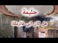 ابي من معلم إلى مج رم لعب بينا و دانا للفيرمة عند حليمة 