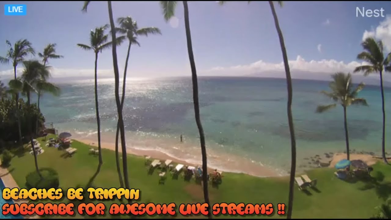 Hawaii tsunami cam live kauai
