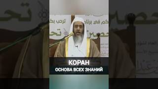 Изучайте Коран. Шейх: Салих Аль - Усейми