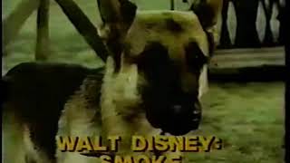 Walt Disney Promo & Cbs Id, 1982