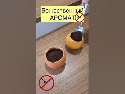 🌺АРОМАТНЫЙ отпугиватель Комаров, мух, муравьёв. Эффективно против всех ...
