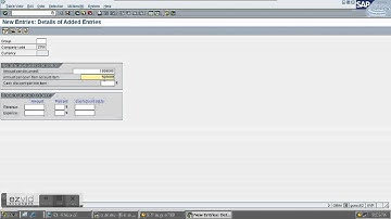 SAP FICO-Define Tolerance Group for Employees