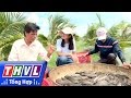 THVL | Nhịp sống đồng bằng: Về thăm vùng cá lóc Định An