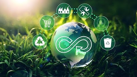 Circular Economy: Rethinking Waste and Resources (21 Minutes)