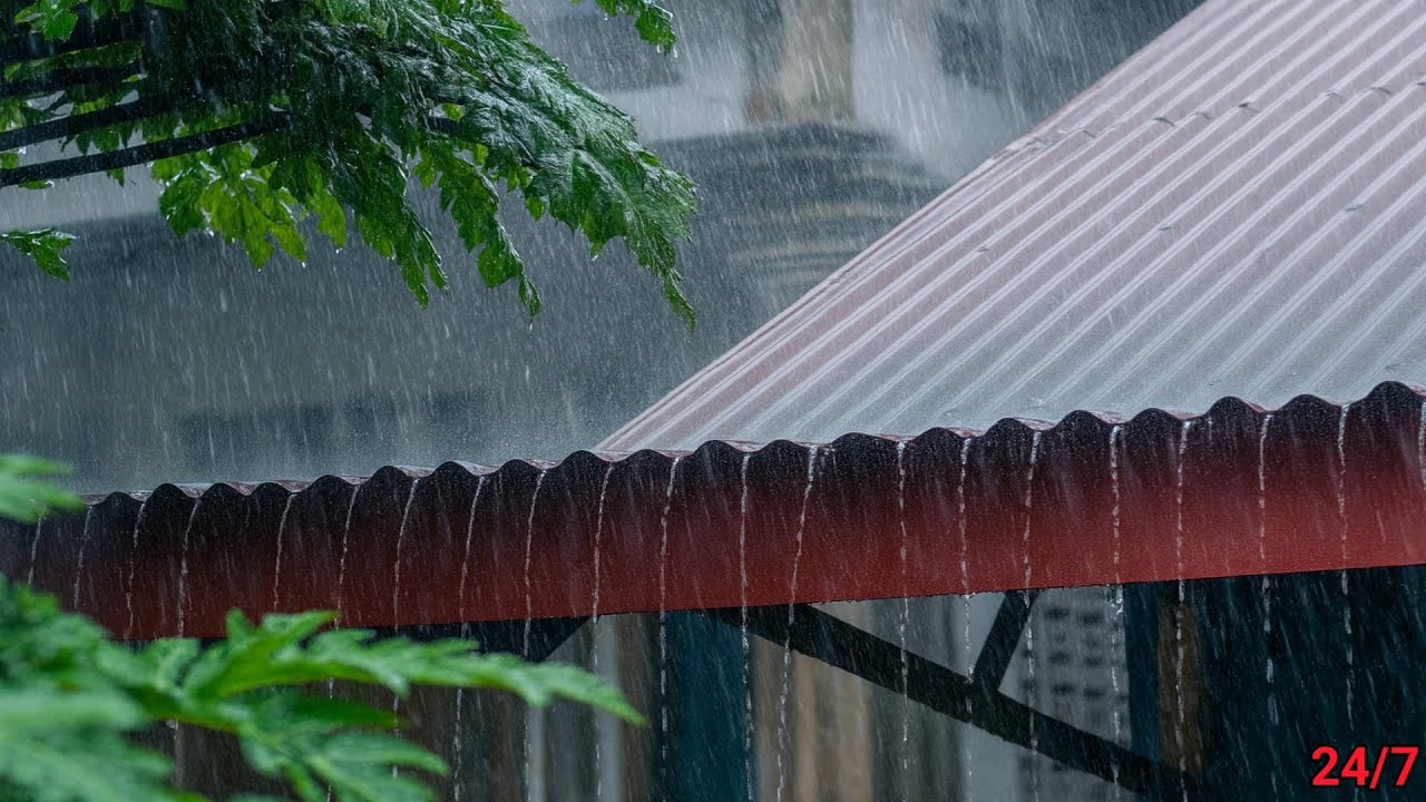 Relaxing Rain Sounds on a Tin Roof with Thunder for Sleep & Relaxation | Natural White Noise🌧️