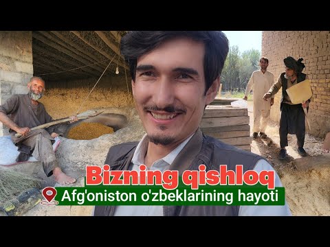 Jinsiy ayolni aldash video