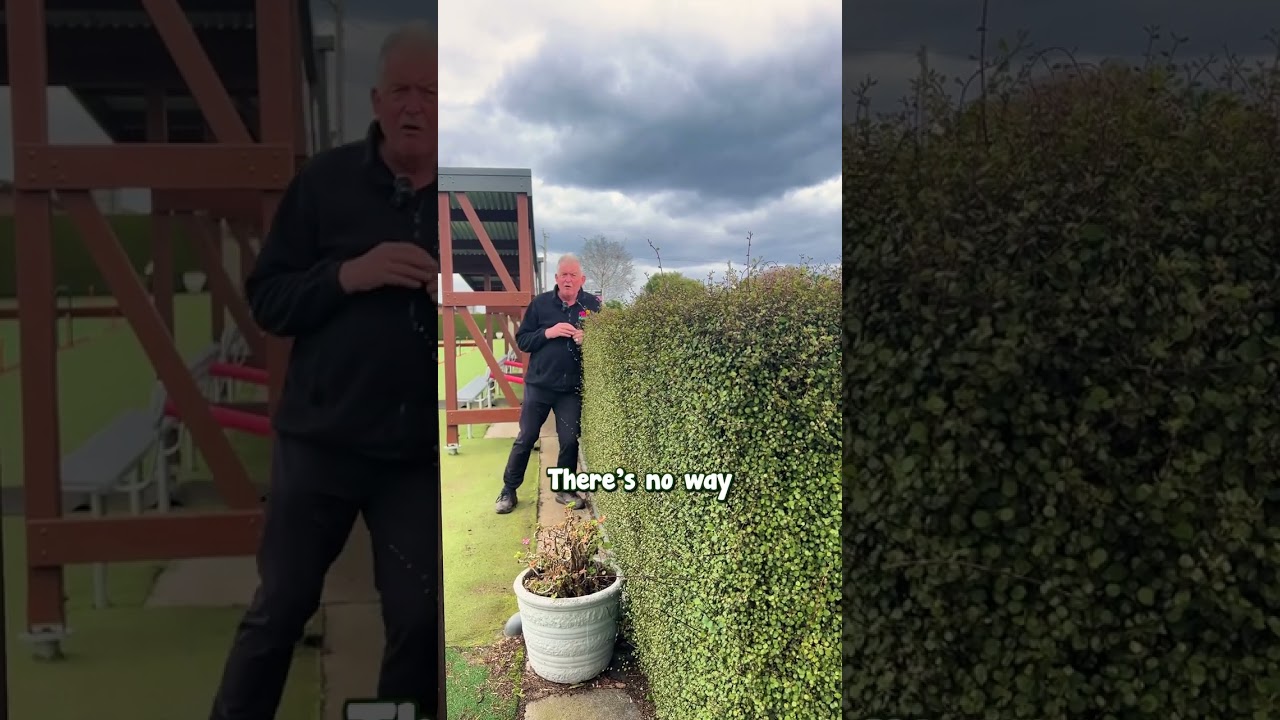 We Think Muehlenbeckia ‘Maidenhair Creeper’ is the Best Hedge of All!