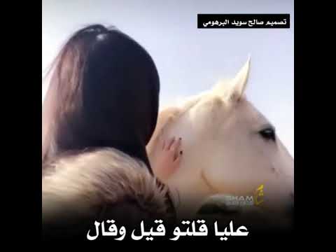 زوبه وعابد مشاي شتاوه