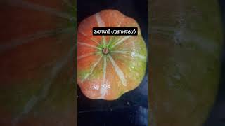 മത്തൻ ഗുണങ്ങൾ#short #benifits of pumpkin#healthtips