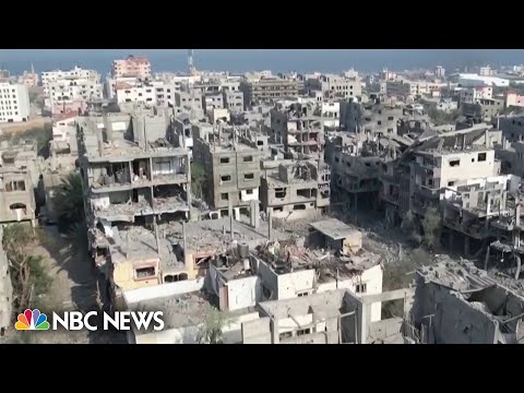 UNRWA director loses
