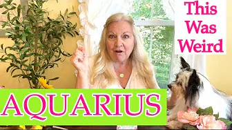 AQUARIUS - Weird Stuff Happened In This Reading! 