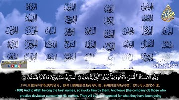 ولله الأسماء الحسنى فادعوه بها - القارئ تامر الشاذلى