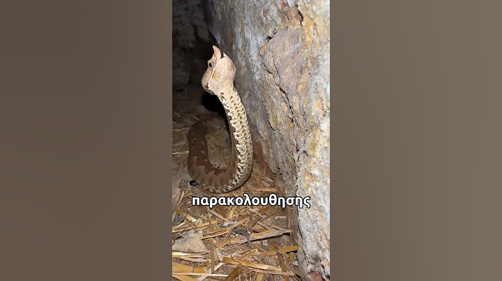 επικίνδυνο φίδι 😱😱