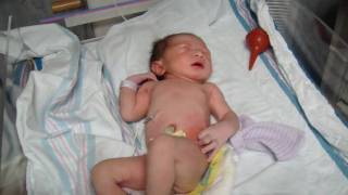 Nathan's Birth #4