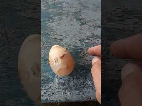 حجر عقيق على شكل بيضه 