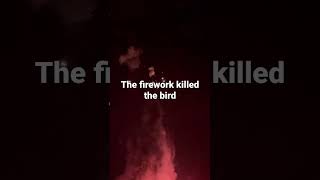 He died from fireworks