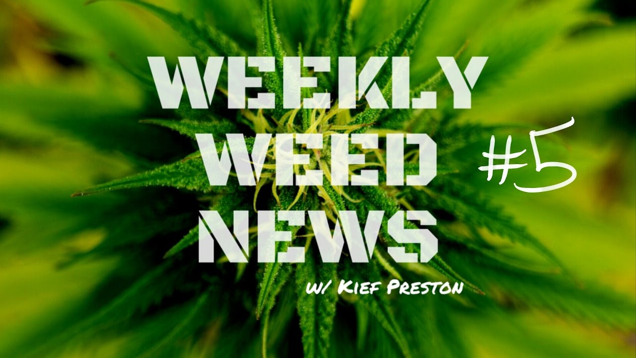 Weekly Weed News w/ Kief Preston - Episode 5 -