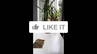 :   .   