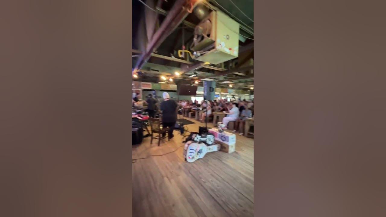 Gruene Hall, Gruene, Texas #shorts #shortsvideo #live #roadtrip #gruenehall #usa #music #travel #wow