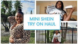 Mini Shein Try-On Haul Plus Size