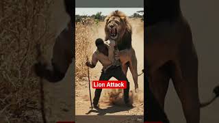 An elephant saved a man from the jaws of a lion #shorts #animals #mangoingroad #elephant #viralvideo