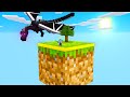 Skyblock but its inside a BLOCK! - BEATING THE GAME