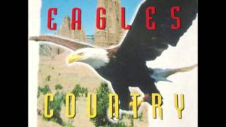 Video thumbnail of "Eagles:  Take It Easy (Instrumental)"