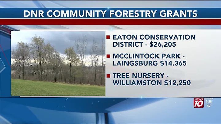 Three area communities receive DNR Community Forestry Grants