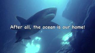 Video thumbnail of "KEEP THE OCEAN CLEAN- Full Song -by Birdsong and the Eco-Wonders"