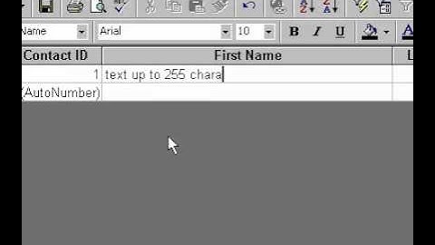 Microsoft Office Access 2000 Text Data Types