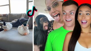 Cute Animals On Tik Tok That Will Make You Laugh