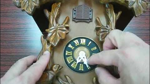 How to synchronize cuckoo time