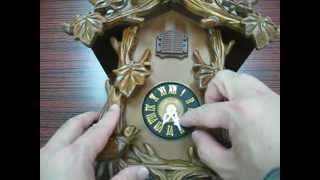 How to synchronize cuckoo time
