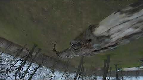 Proxy Flow | FPV Freestyle