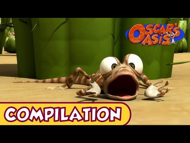 Oscar's Oasis - DECEMBER COMPILATION [ 25 MINUTES ] 