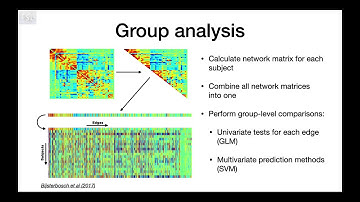 34. Resting State: Network Modelling Analysis, Group Analysis and Challenges (Nets E3)