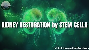 ReGenesis Kidney by Stem Cells (Morphic Field)