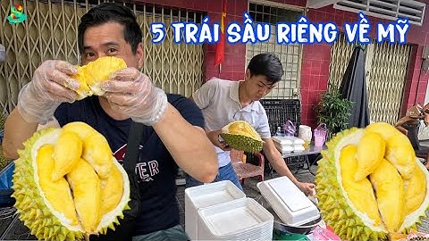 🟢Trần Trân chơi lớn khui liên tiếp 5 trái sầu riêng cơm vàng ươm làm quà biếu đi Mỹ