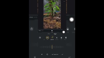 របៀបកែពណ៌វីឌីអូតាម VN Video Editor