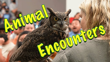 Zovargo: We bring the Zoo to You!