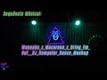 Light Show Wannabe X Macarena X Bring Em Out DJ Hampster Dance Mashup 